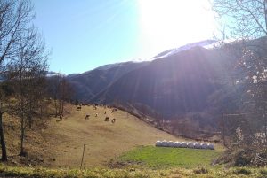 IMG_20161229_124824m